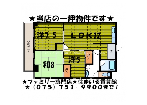ウイステリア白川 間取り図