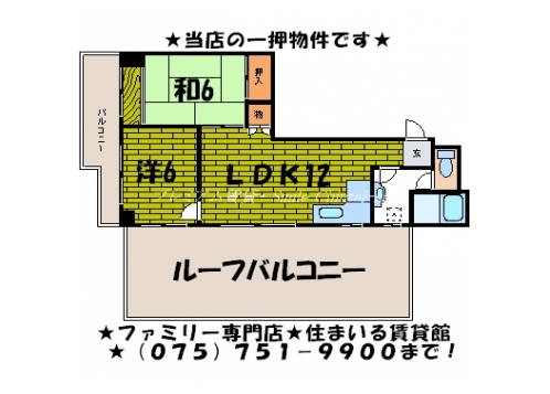 ウイステリア白川 間取り図