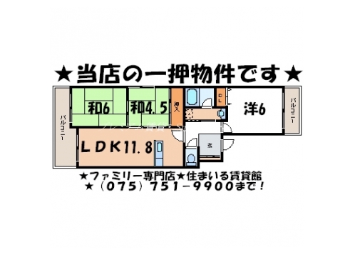 ソルクメリアーナ 間取り図