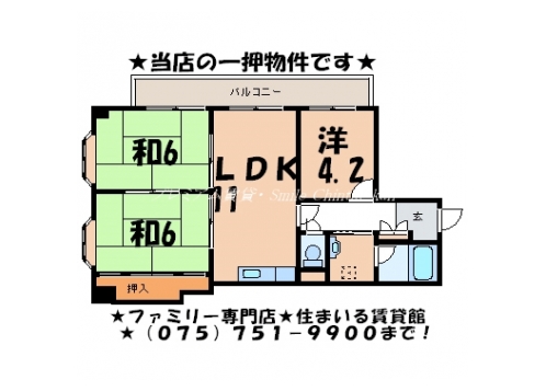コスモ星の子ハイツ 間取り図