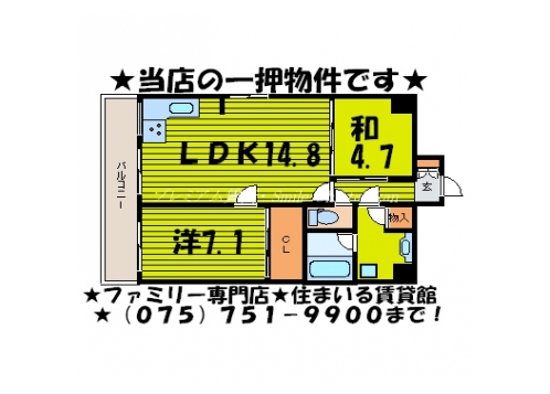 ケーズアレイ 間取り図