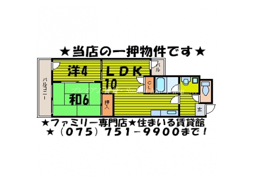 第一パールハイツ上杉 間取り図