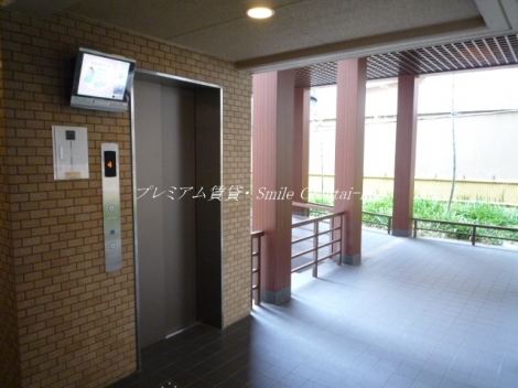 ネバーランド鴨川